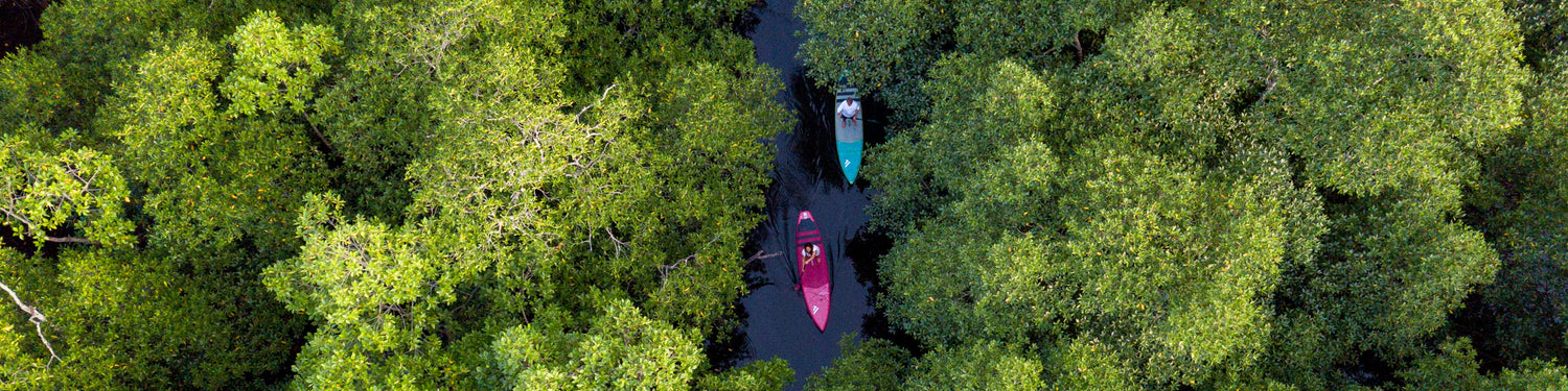 Zwei Stand up Paddler mit Fanatic iSUPs in den schmalen Kanälen eines Mangrovenwaldes..